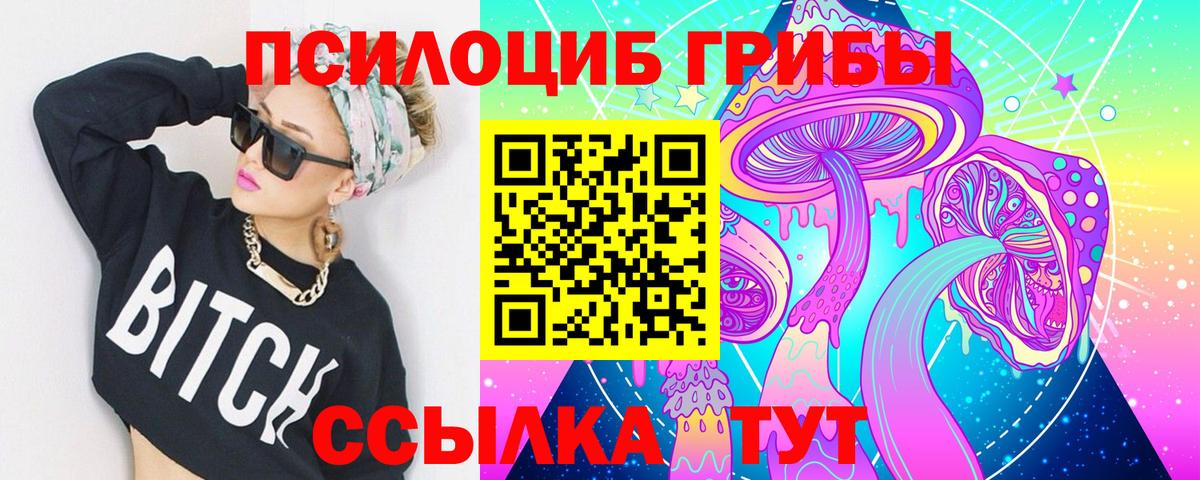 Псилоцибиновые грибы GOLDEN TEACHER Кириши